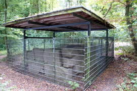Römische Grabkammer in Köln